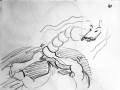 animatics43