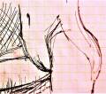 body34