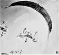 animatics21