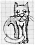 animals19