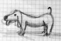 animals09